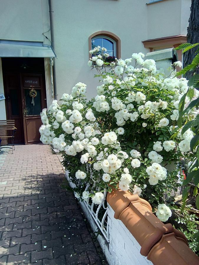 Penzion Villa Marion Marianske Lazne Exterior photo